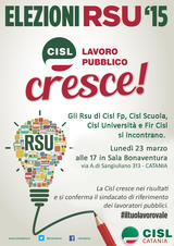 Incontro eletti RSU Lavoro Pubblico